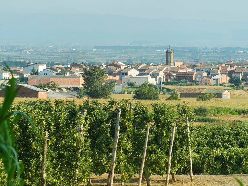 Bellcaire d'Urgell